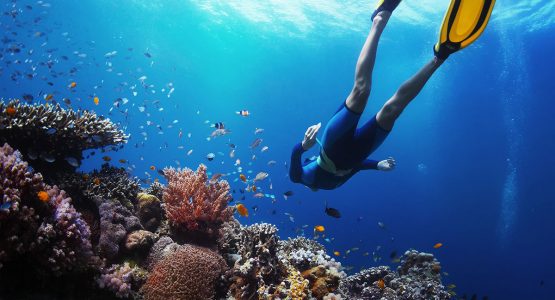 Snorkeling in the Pacific Ocean on guided Galapagos Adventure Tour in Galapagos Islands