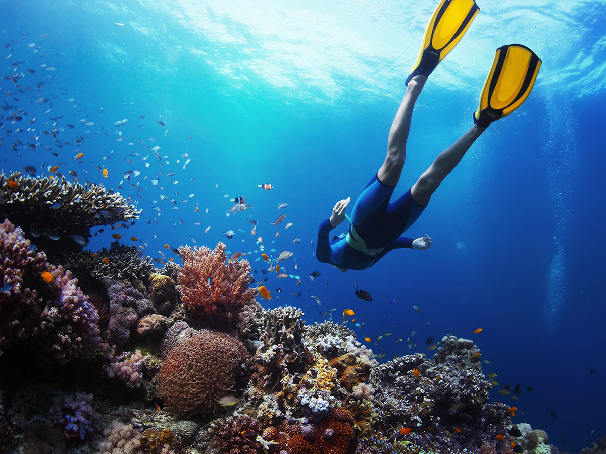 Snorkeling in the Pacific Ocean on guided Galapagos Adventure Tour in Galapagos Islands