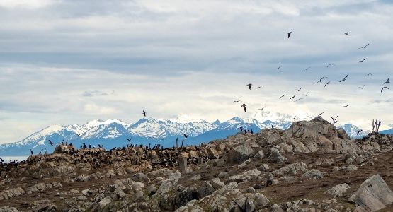 Mountains at Tierra del Fuego
