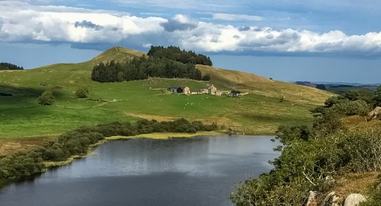 Panoramic view from Hadrian's Wall Walking Tour