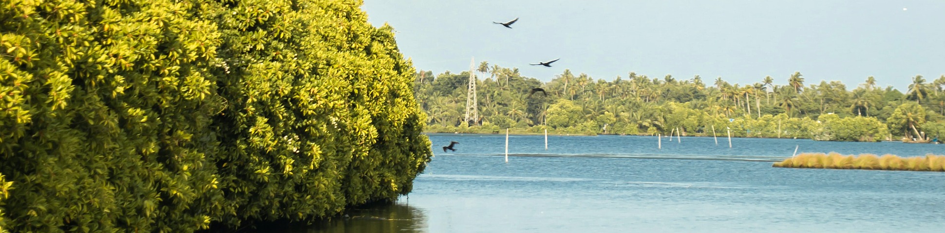 Kerala (India)