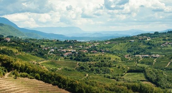 Gorska Brda