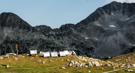 Pirin Mountains (Bulgaria)