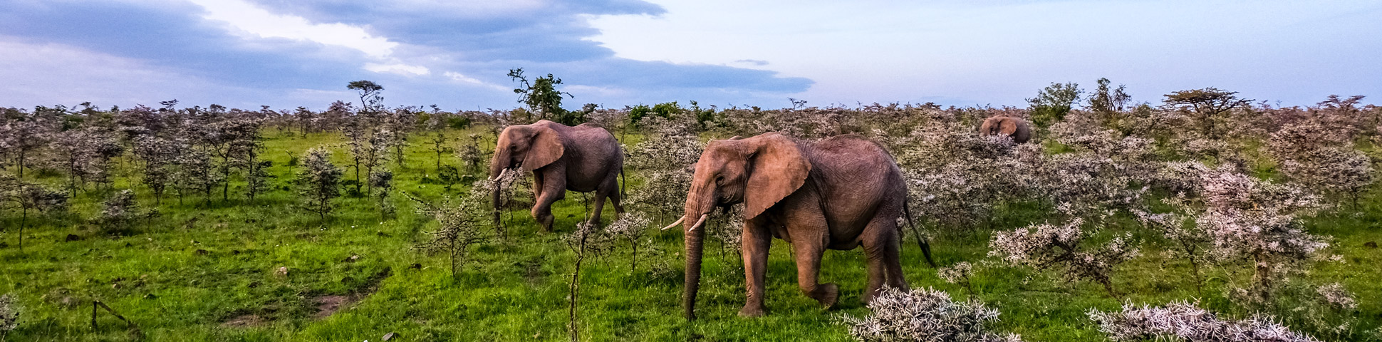 Panoramic view from Best of Kenya and Tanzania Safari Tour