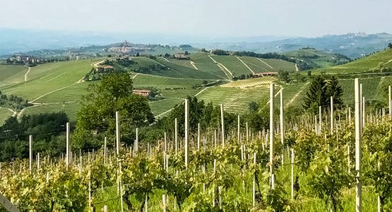 Panoramic view from Piedmont Barolo Hills Wine and Bike Tour