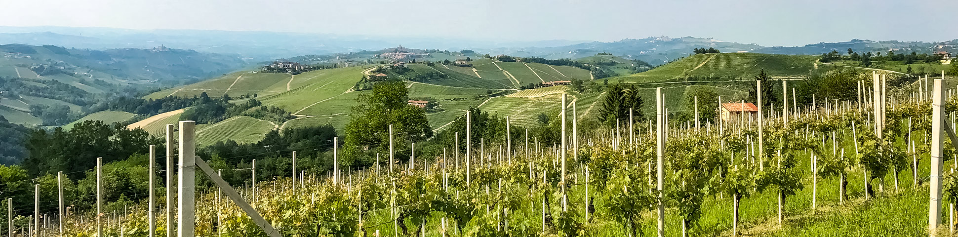 Panoramic view from Piedmont Barolo Hills Wine and Bike Tour