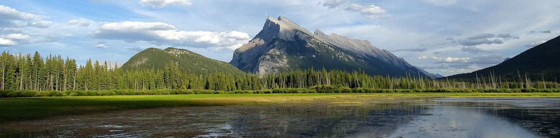 Pond in the foreground with Mount Rundle in the background