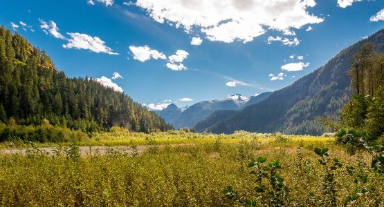 Green valley at West Coast of Canada