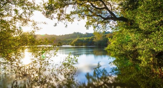 Lake in Galicia (Spain)