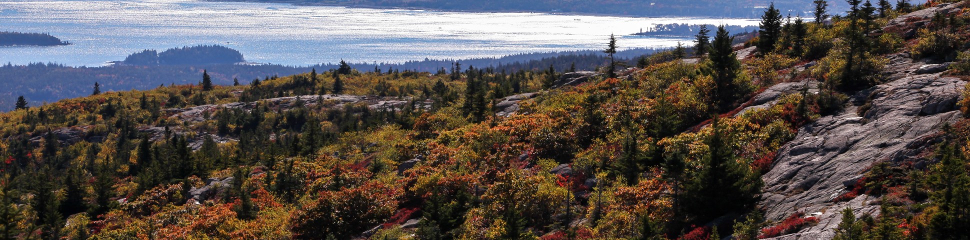 Acadia in New York State