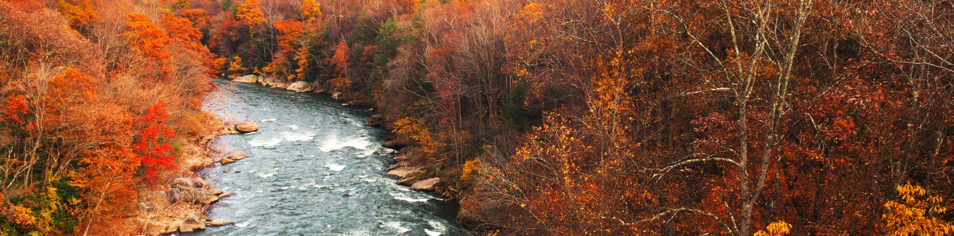 Autumn colors in Great Allegheny Passage