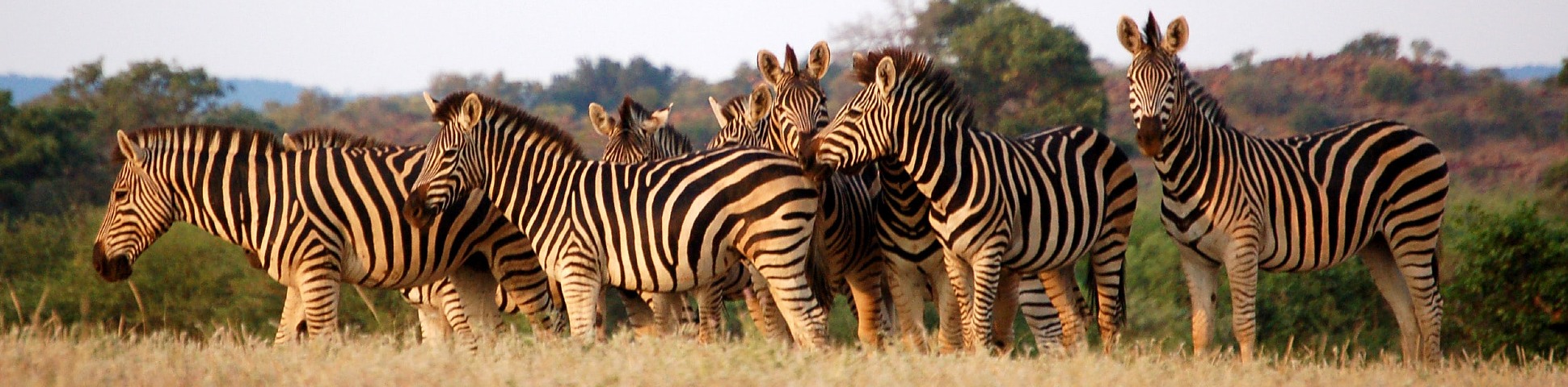 Botswana