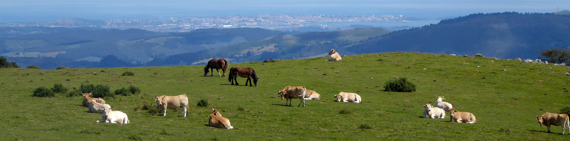 Cantabria, Spain
