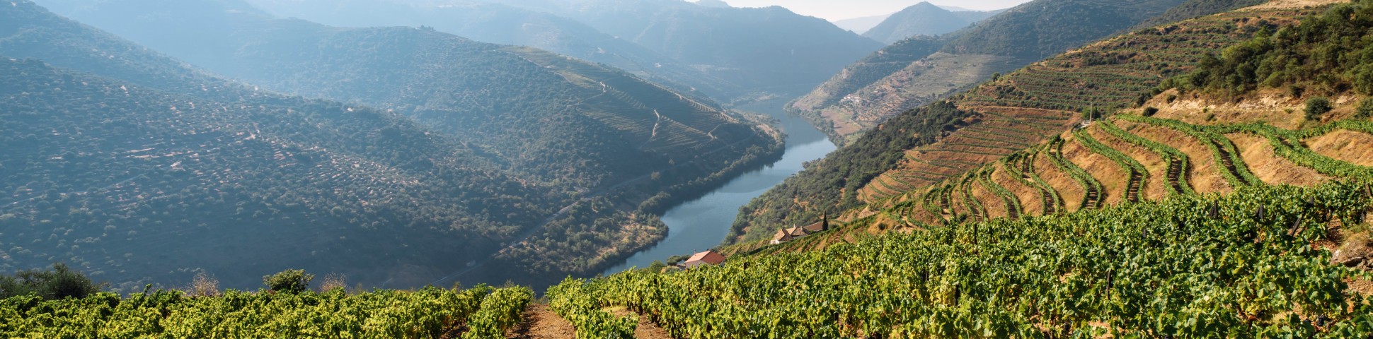 Douro river in Portugal