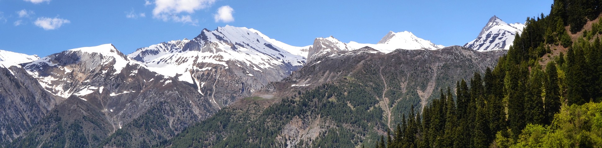 Kashmir in India