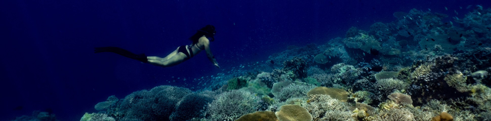 Lady snorkeling above the coral reef