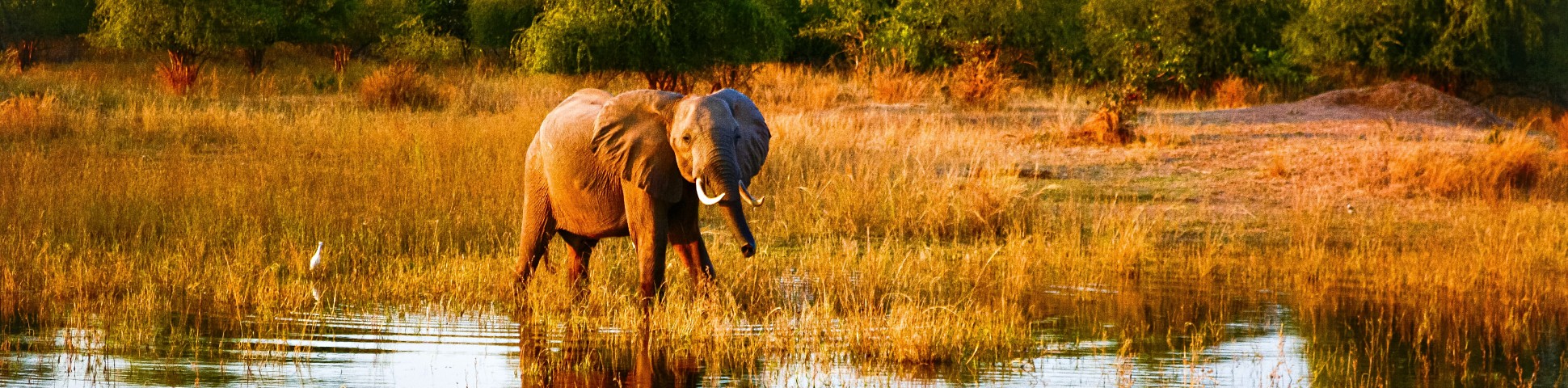 Zimbabwe