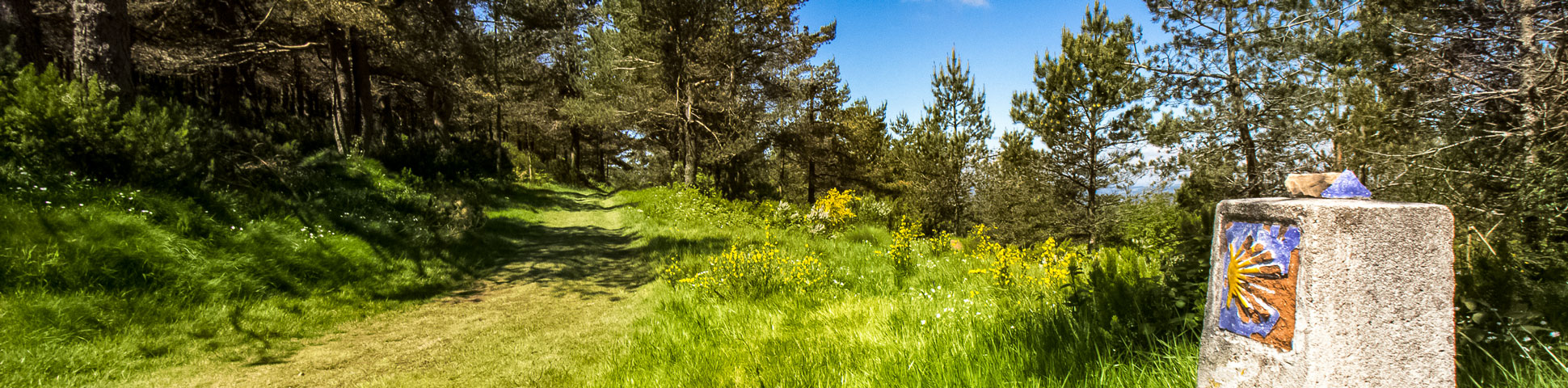 Panoramic view from Complete Camino de Santiago