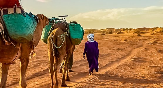 Panoramic view from Moroccan Kasbahs and Merzouga Desert Guided Tour