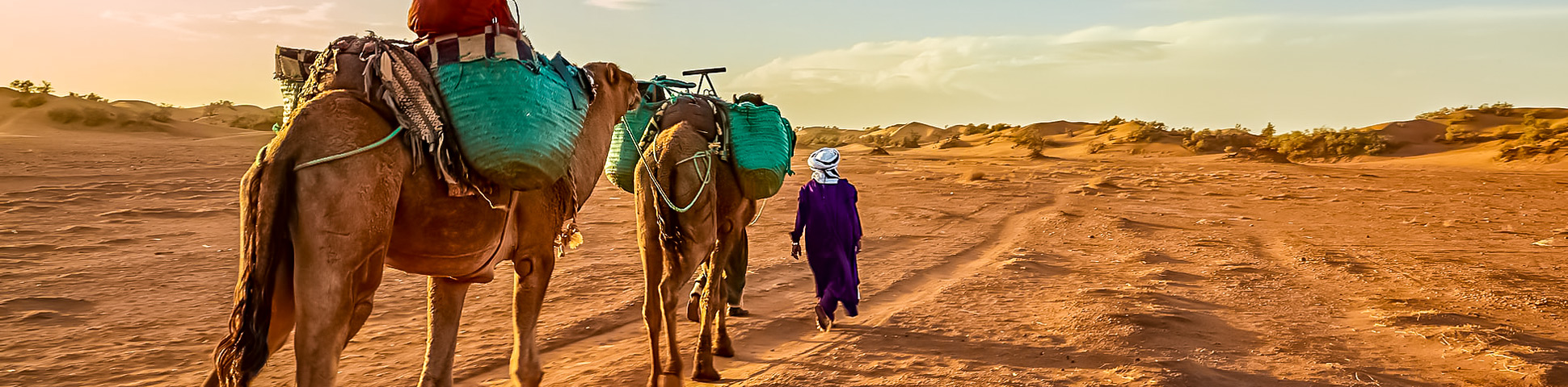 Panoramic view from Moroccan Kasbahs and Merzouga Desert Guided Tour