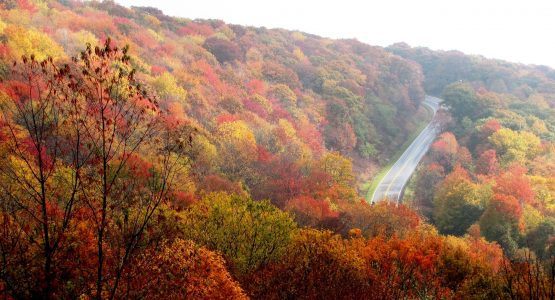 Autumn in North Carolina