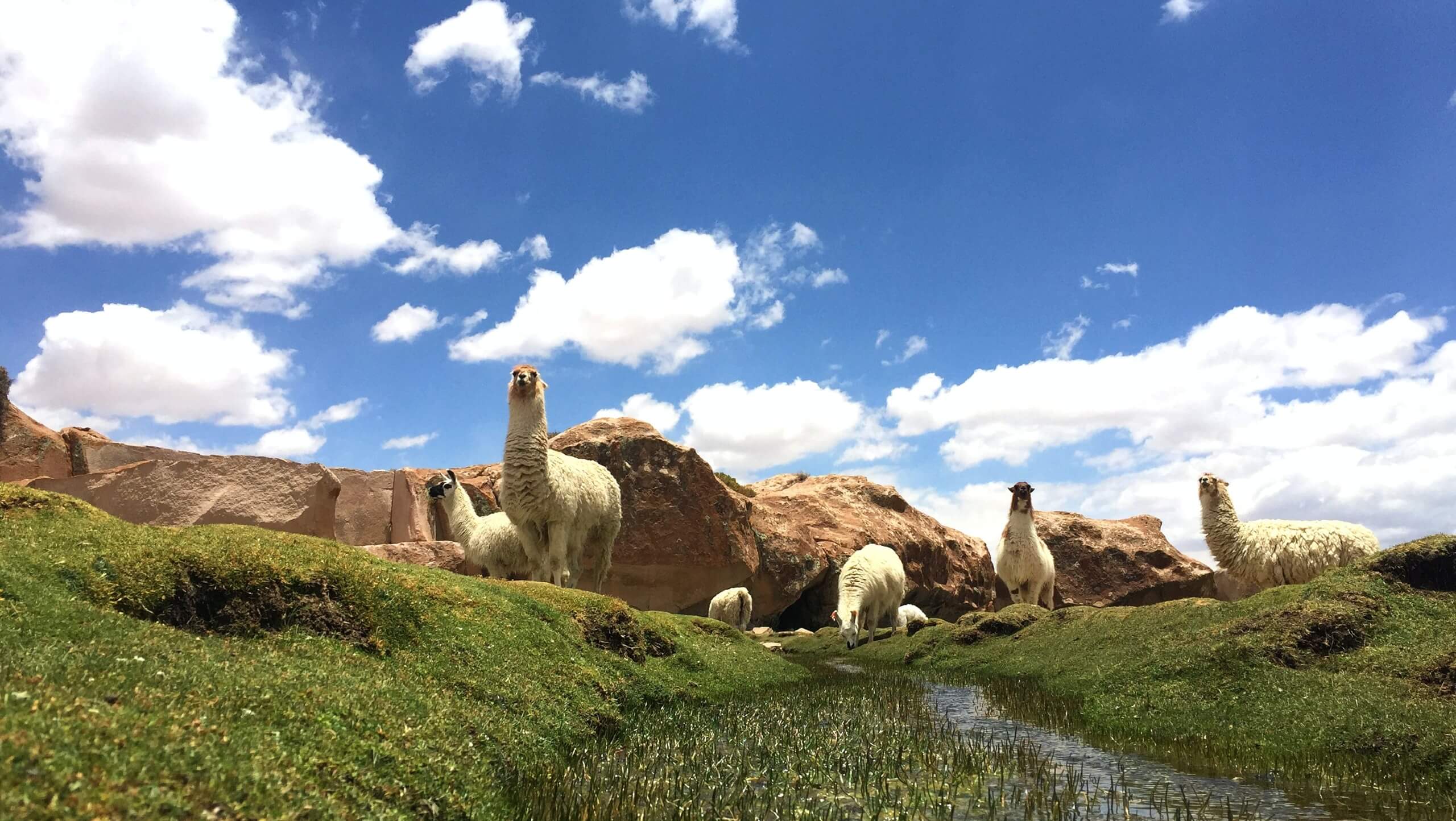 Bolivia Adventure Tour