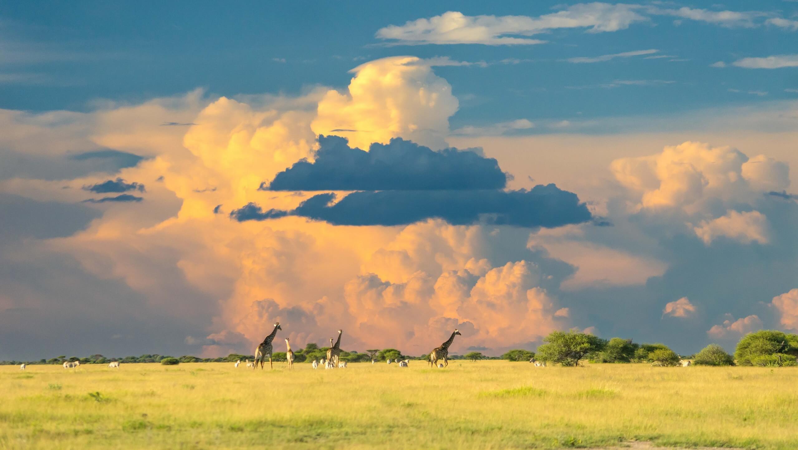 Botswana, Zimbabwe & Namibia Adventure Tour