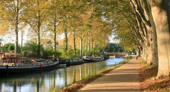 Channel in Toulouse during the autumn