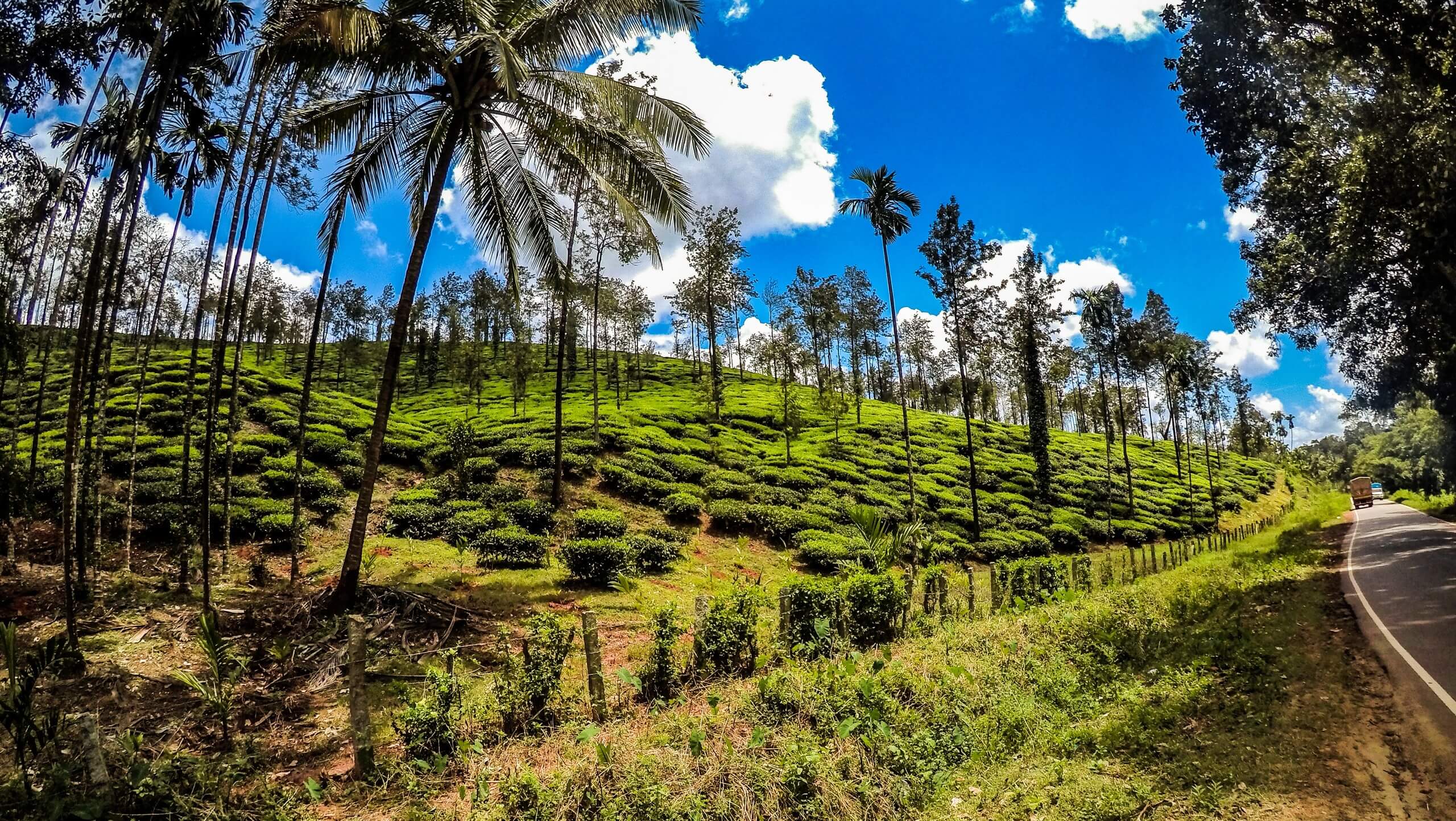 Cycling in the Western Ghats Tour