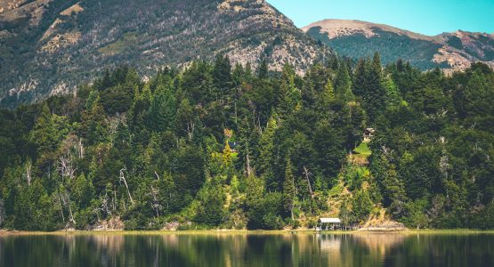 Green forests at Argentine Northwest