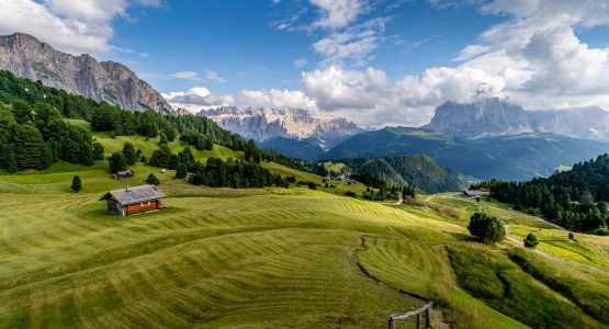 Green meadows in South Tyrol