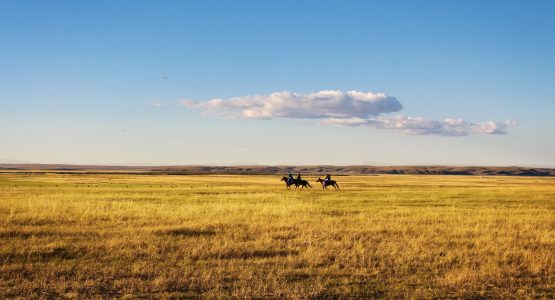 Horseback riding in hay fields