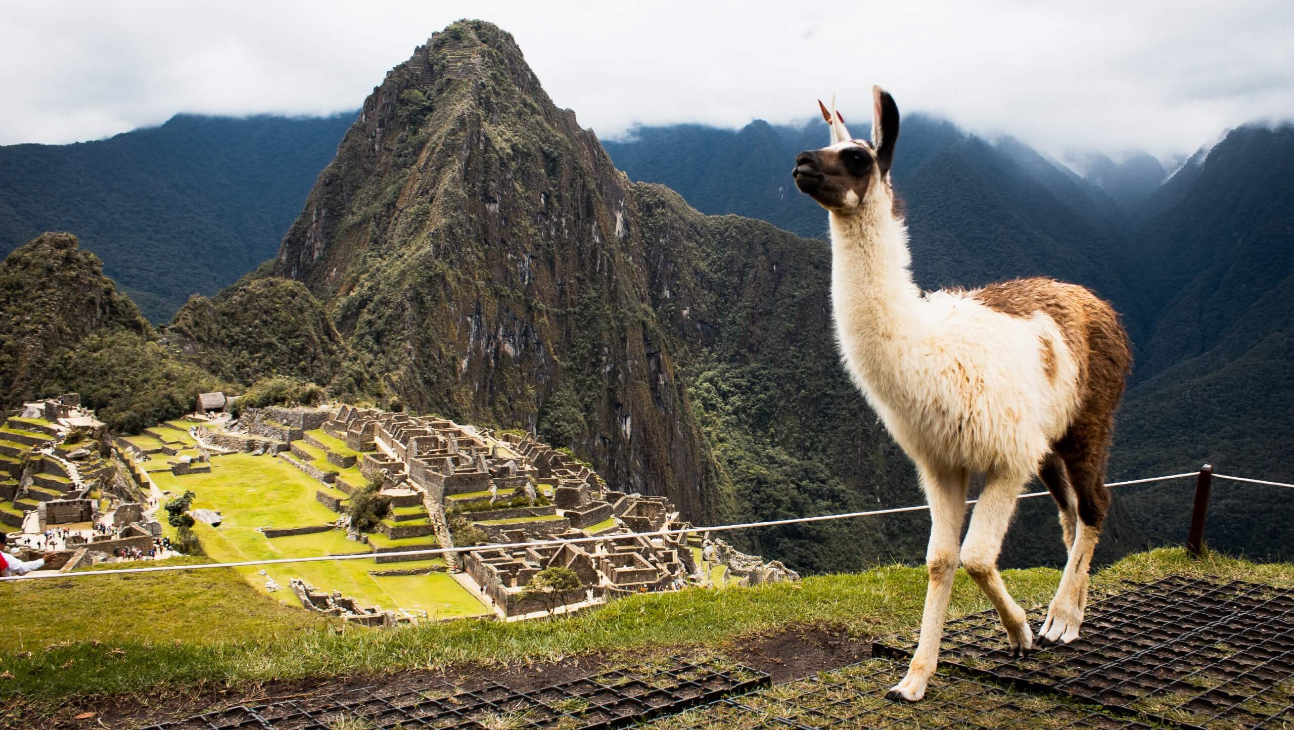 Inca Trail Trek to Machu Picchu