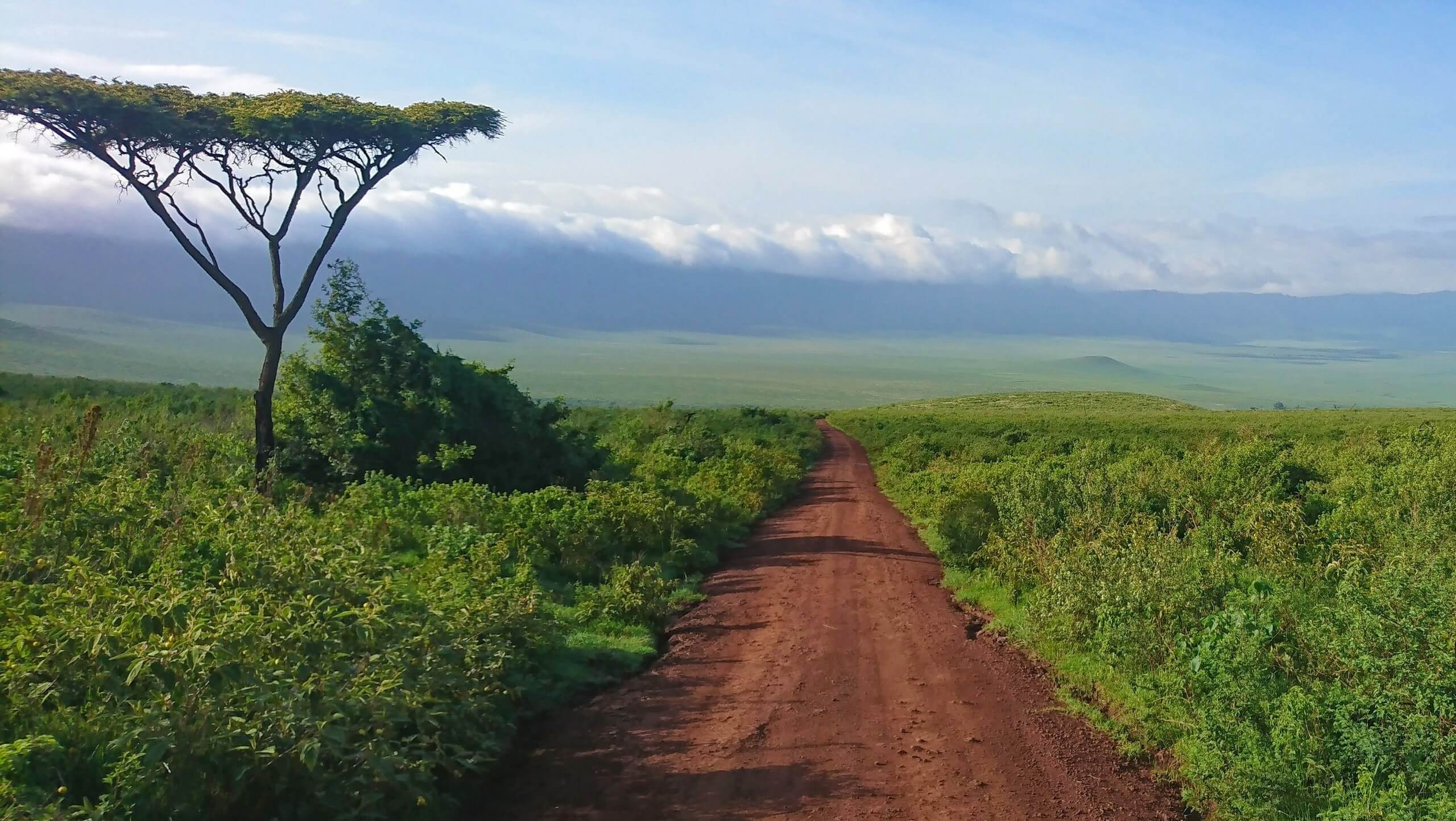 Kilimanjaro to Ngorongoro Cycling Tour