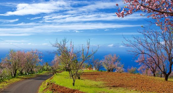 Sea Views in La Palma Island