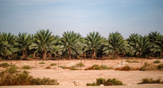 West Bank in Jerusalem