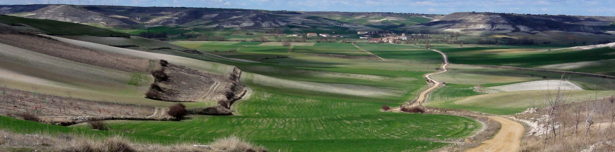 Camino de Santiago in Luxury