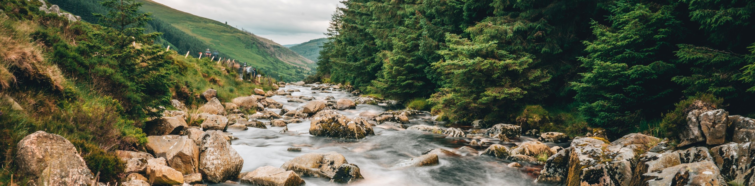 County Wicklow in Ireland