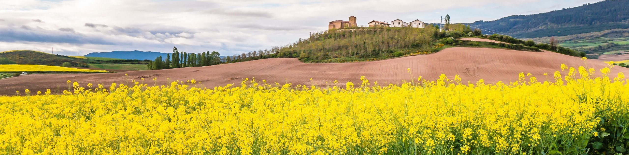 Cycling the Camino Frances to Santiago