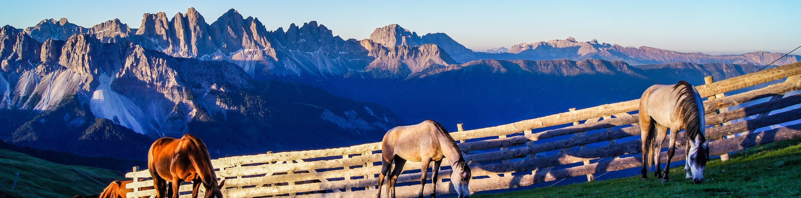 Dolomites Chestnut Route Walking