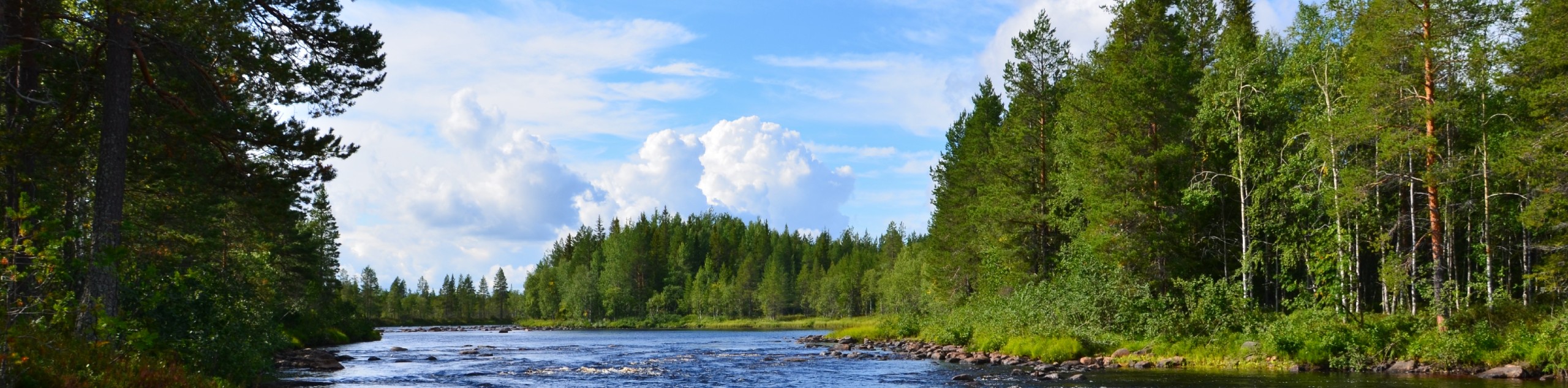 Karelia wilderness in Russia