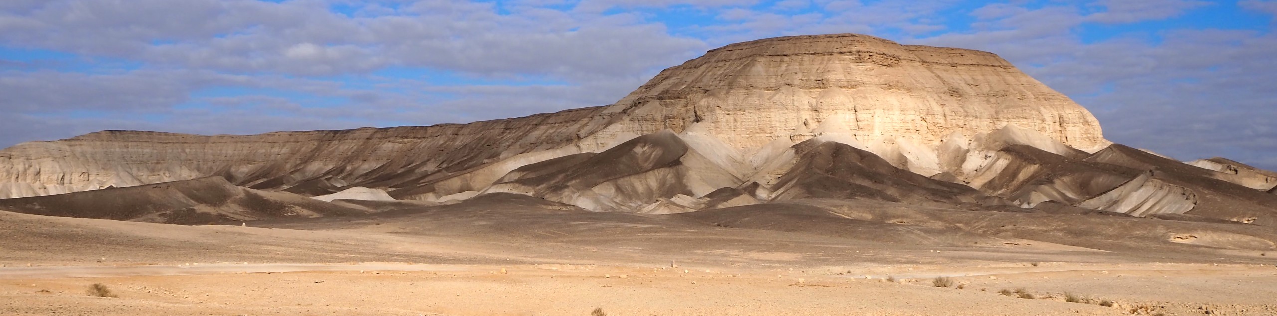 Negev Desert