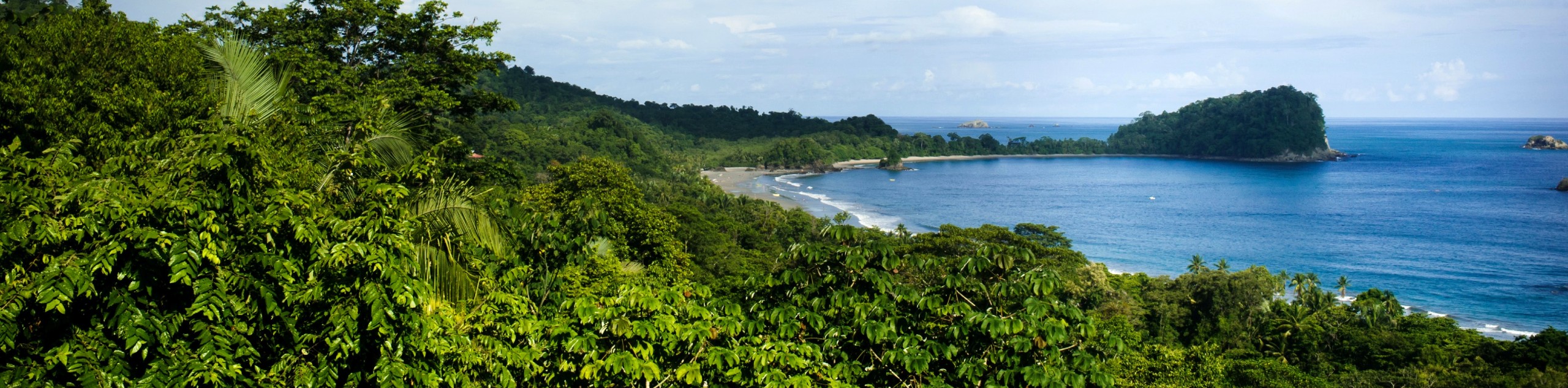 Rainforests of Costa Rica