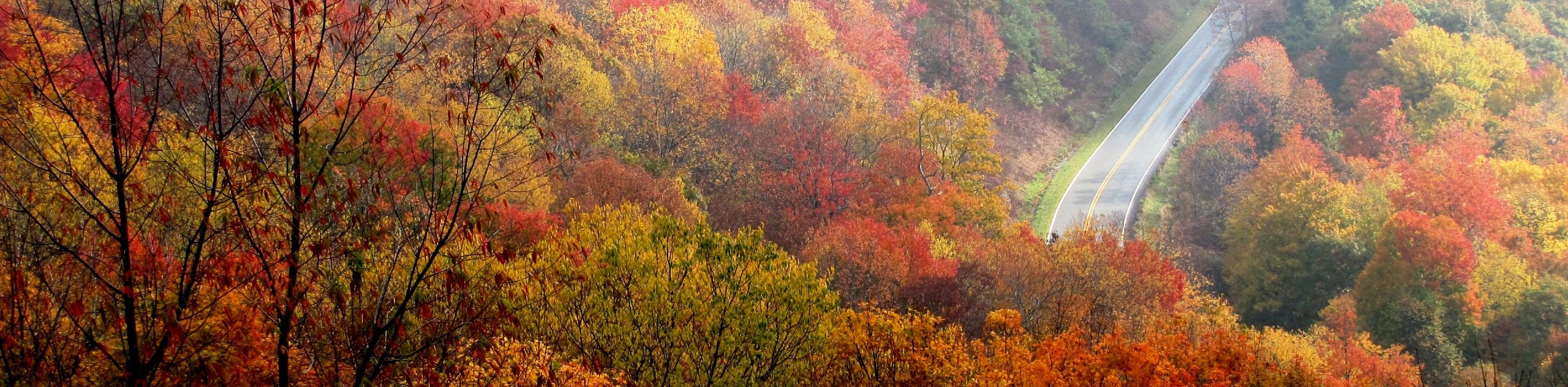 Stunning autumn colors in North Carolina