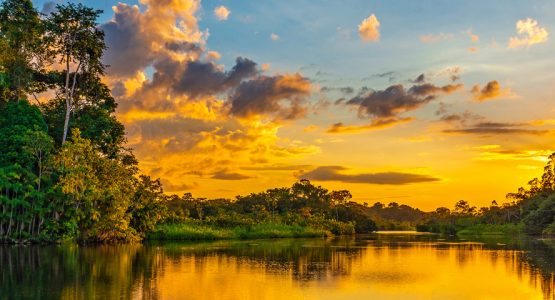 Panoramic view from Amazon River Cruise (Ecuador)