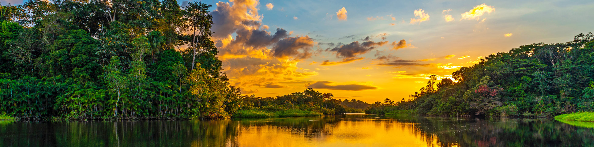 Panoramic view from Amazon River Cruise (Ecuador)