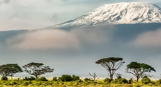 Panoramic view from Mount Kilimanjaro on Lemosho Route (slower pace) Tour