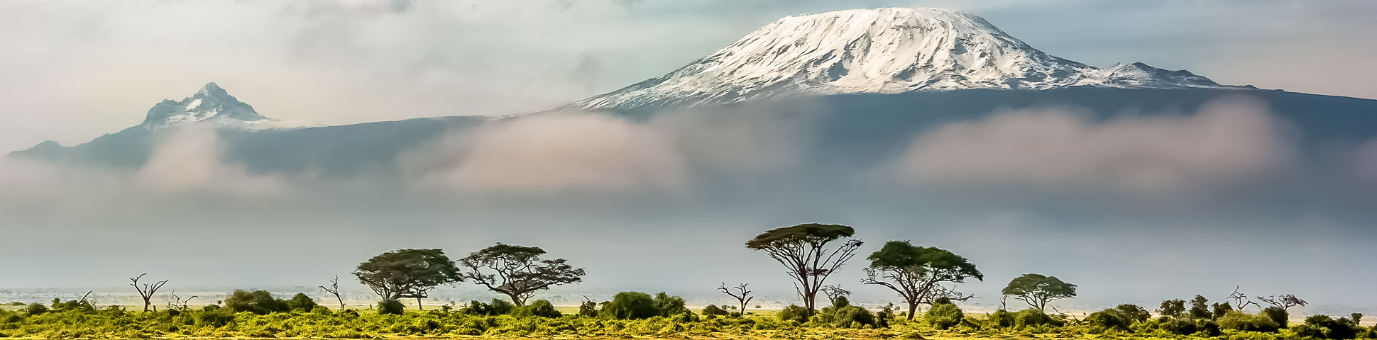 Panoramic view from Mount Kilimanjaro on Lemosho Route (slower pace) Tour