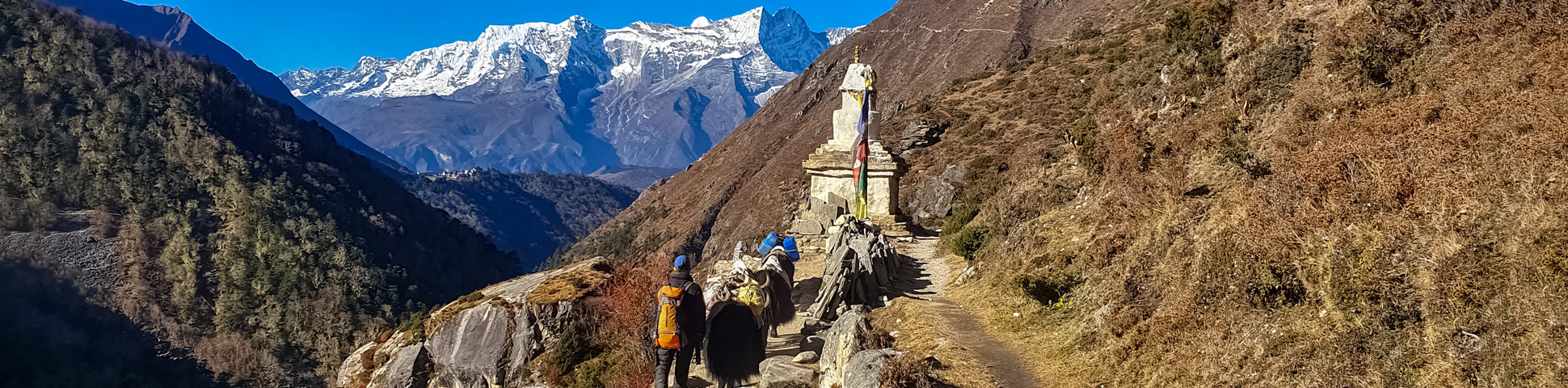 Panoramic view from Annapurna and Everest Luxury Lodges trekking tour