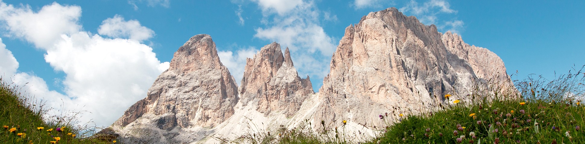 Three peaks in the dolomites with grass and wildflowers flowers below